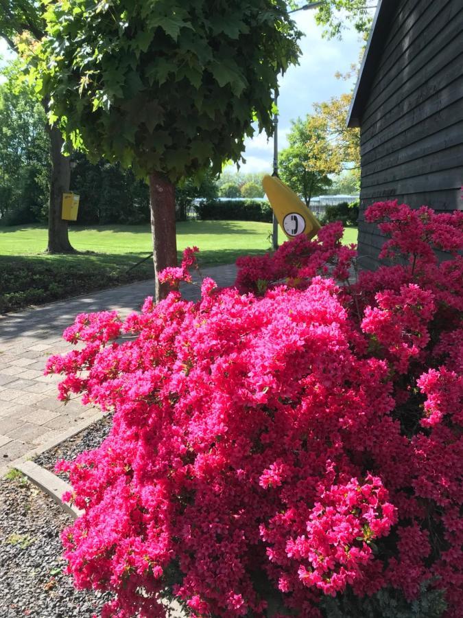 B&B De Prinsenhof Gassel Екстер'єр фото